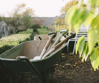 Wheelbarrow with tools in it