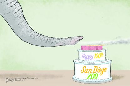Editorial cartoon U.S. San Diego Zoo birthday