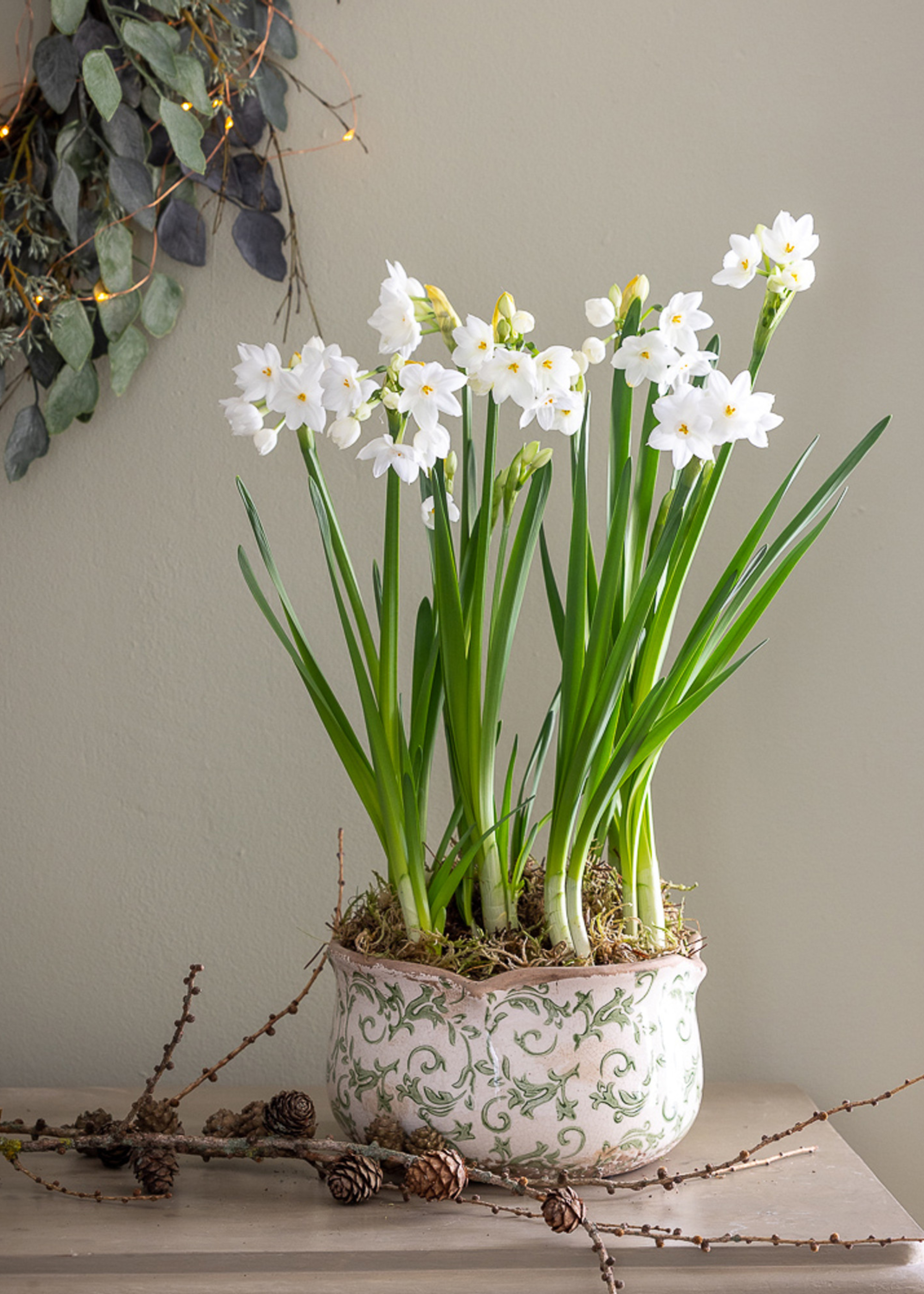 Potted paperwhites on a side table with an acorn branch