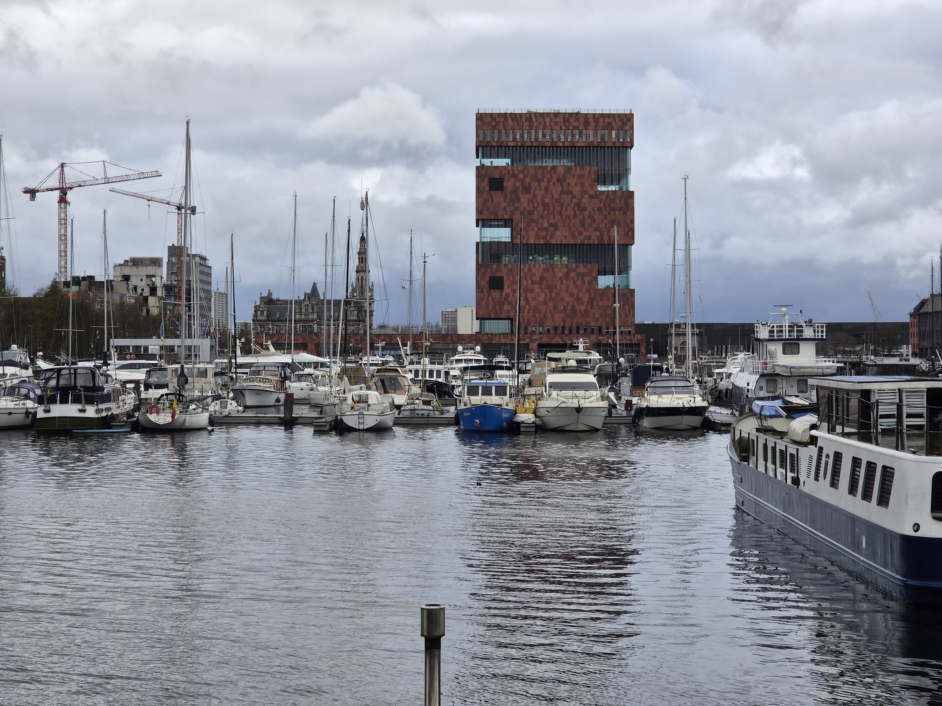 Samsung Galaxy S26 voorbeeldfoto