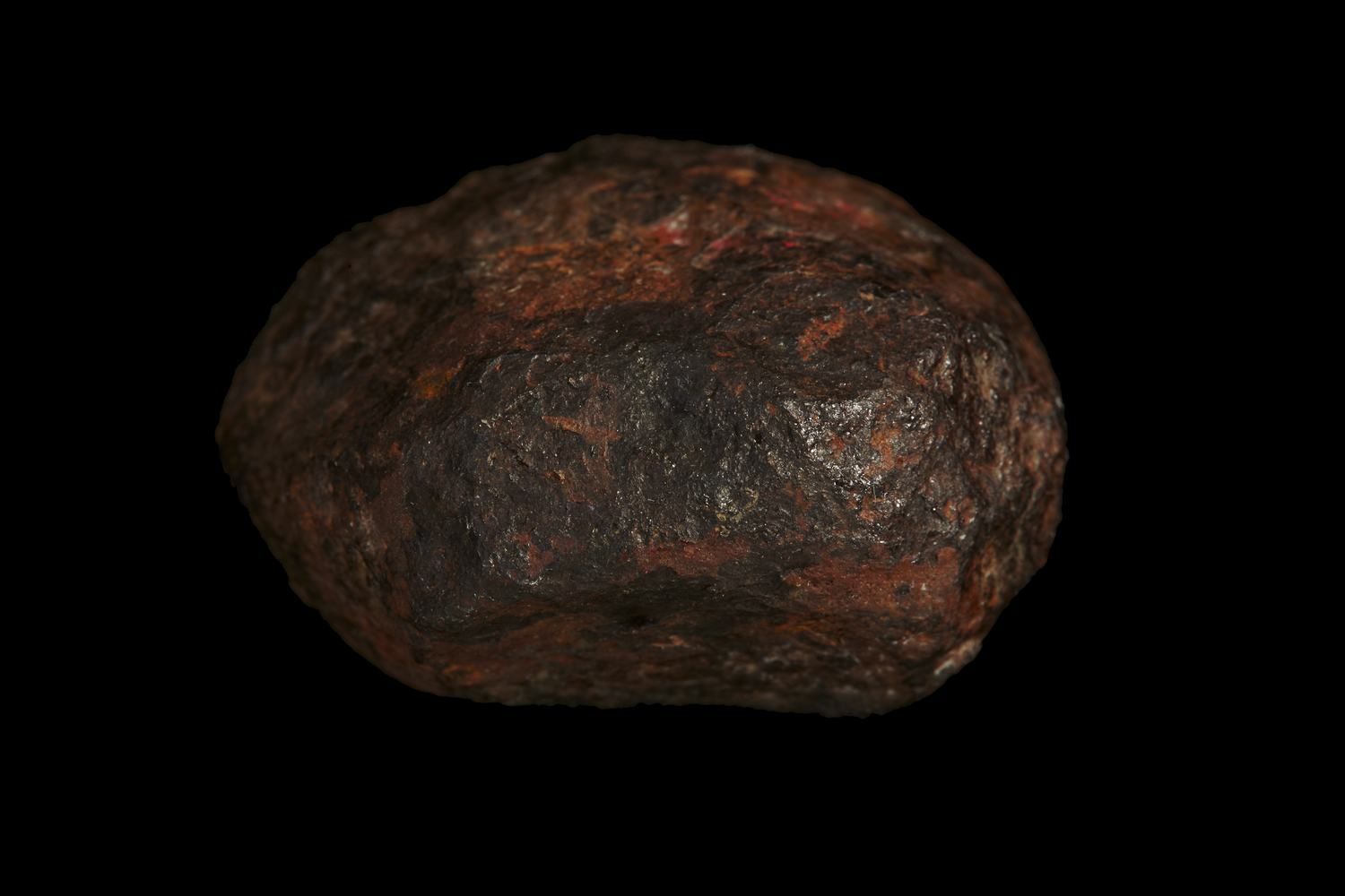 www.livescience.com