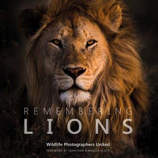Remembering Lions book cover