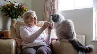 an elderly woman sits with a large fluffy cat on a recliner