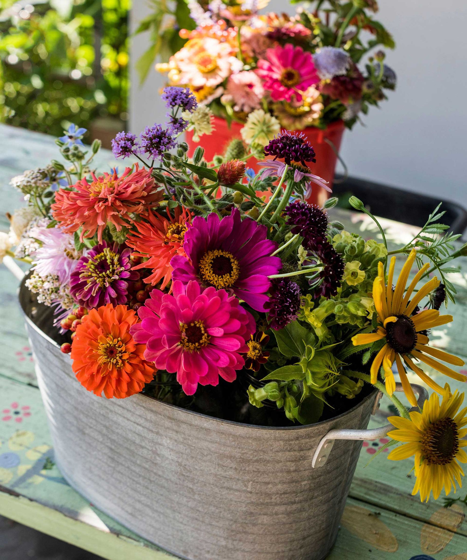 cut zinnias in a bucket