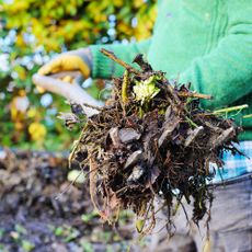 Gardener turns compost with fork
