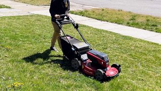 Toro Flex-Force 60V Max 22-Inch Cordless Lawn Mower being tested in writer's home