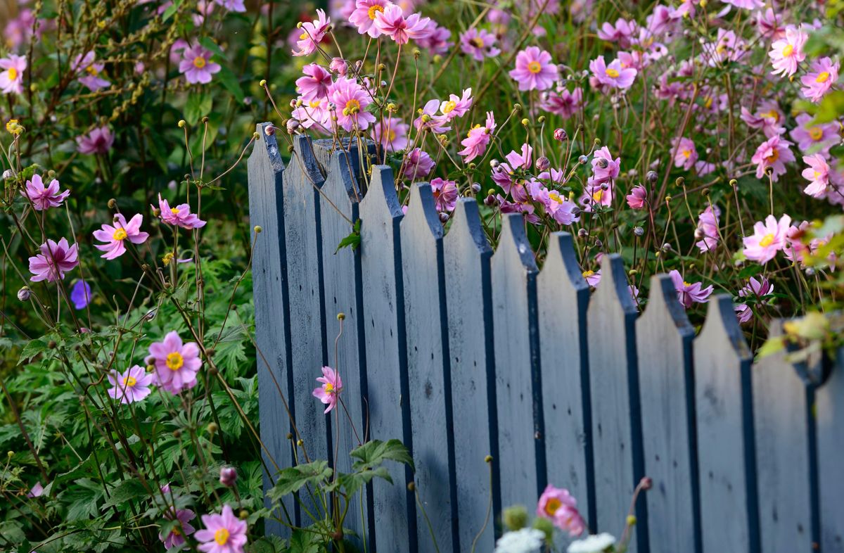 Peindre votre clôture de cette couleur a désormais un double sens 