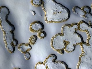 At the end of Martian summer, warm weather causes portions of the vast carbon-dioxide ice cap to ice sublimate directly into gas. Pits begin to appear and expand where the carbon dioxide dry ice disappears. The pits appear to be lined with gold, but the c
