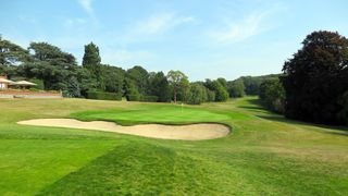 Tyrrells Wood - Hole 18 - RS