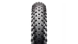 Best fat bike tires: Maxxis Minion FBF Dual Compound