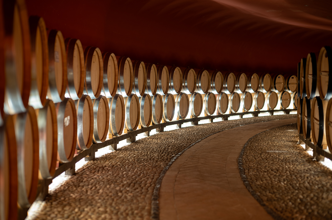 Rows of barrels curving round the edge of a curved cellar, around 40 barrels