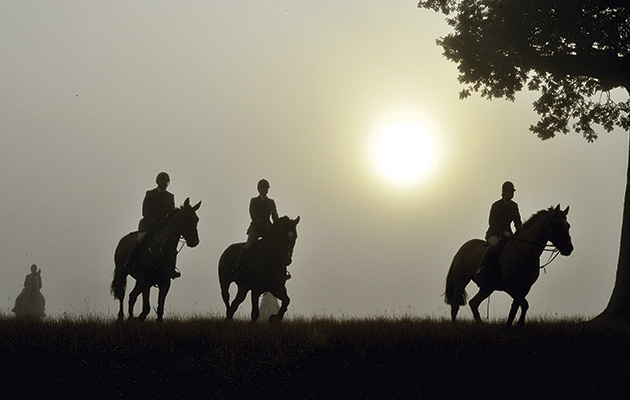 Belvoir Hunt 29.09.15 foggy morning Some of the field