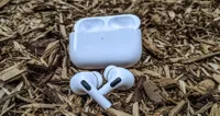The AirPods Pro displayed on a bed of wood chips