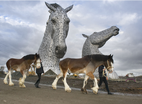 kelpie3.jpg