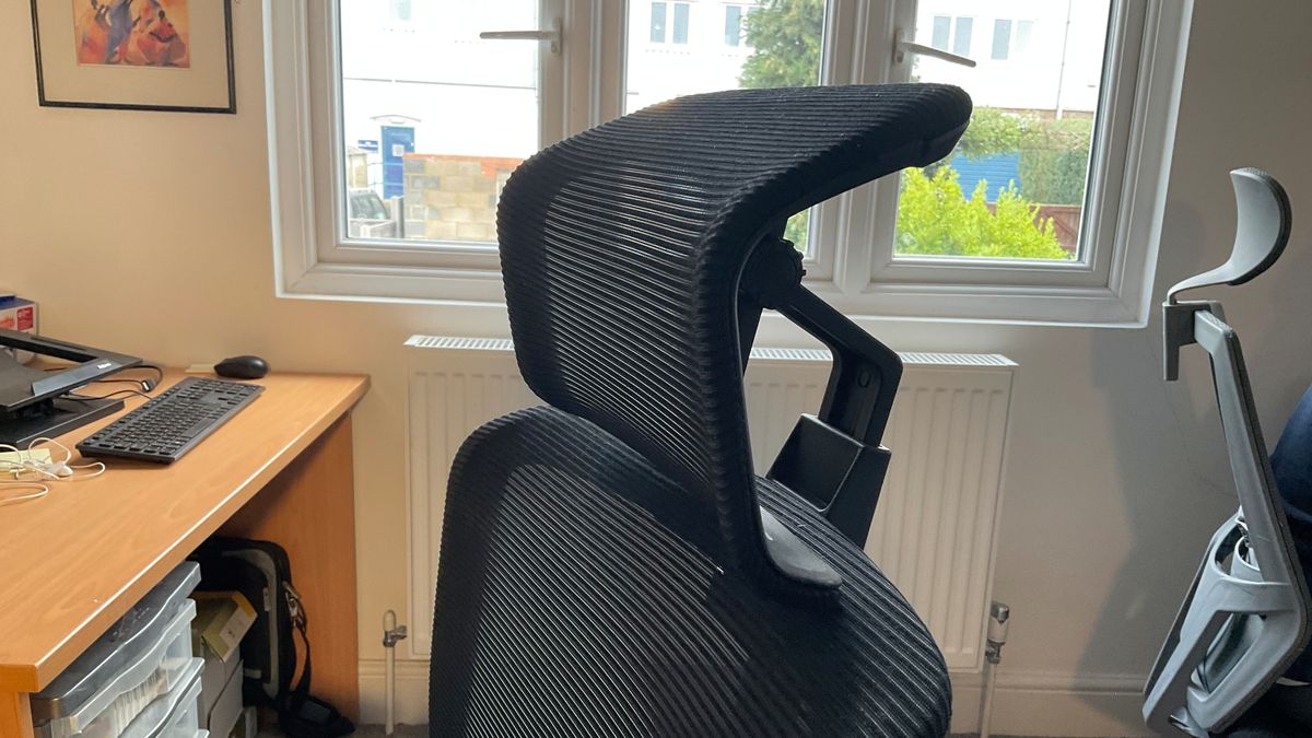 Flexispot BS1B Back Support office chair review Laptop Mag