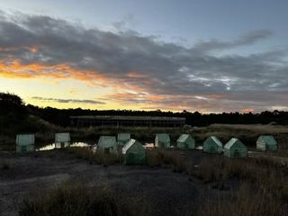 A photo of miniature frog saunas with a sunset in the background