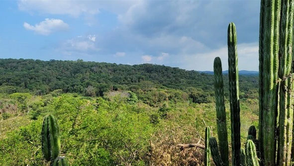 Property for Sale in Costa Rica