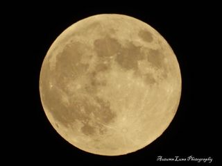 Harvest Moon of September 2014 Over El Paso, Texas