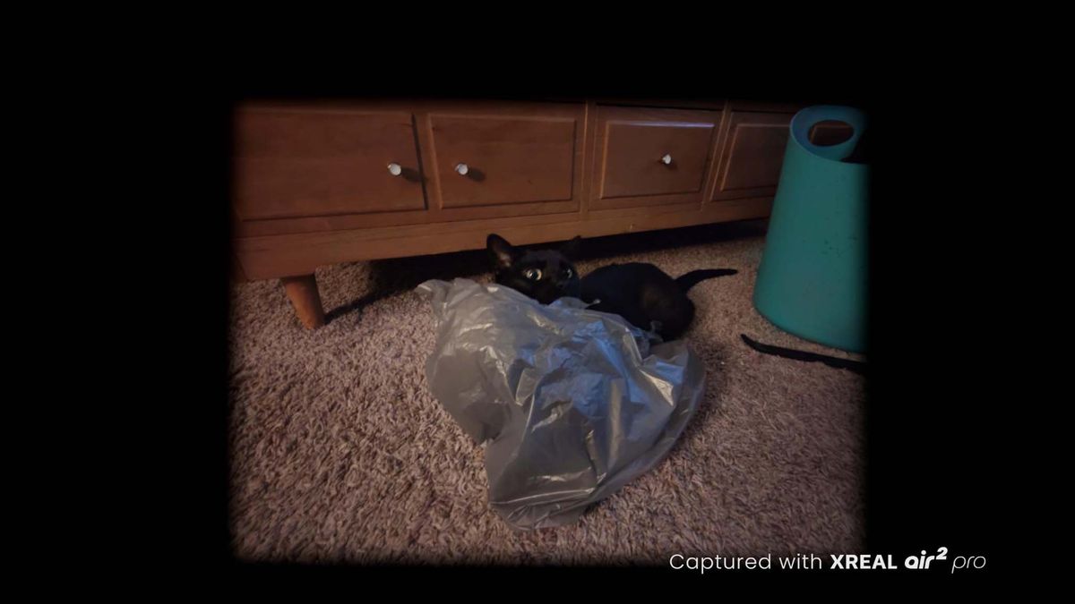 XREAL Beam Pro dim light cat photo.