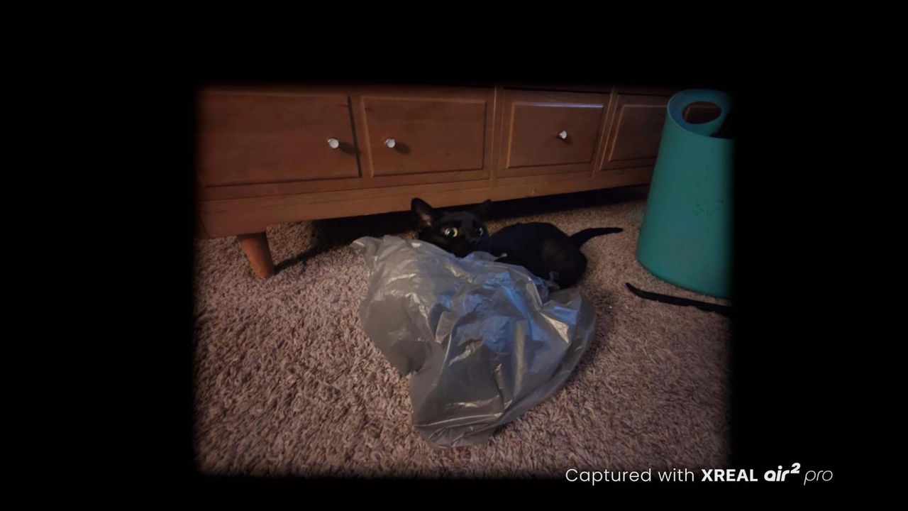 XREAL Beam Pro dim light cat photo.