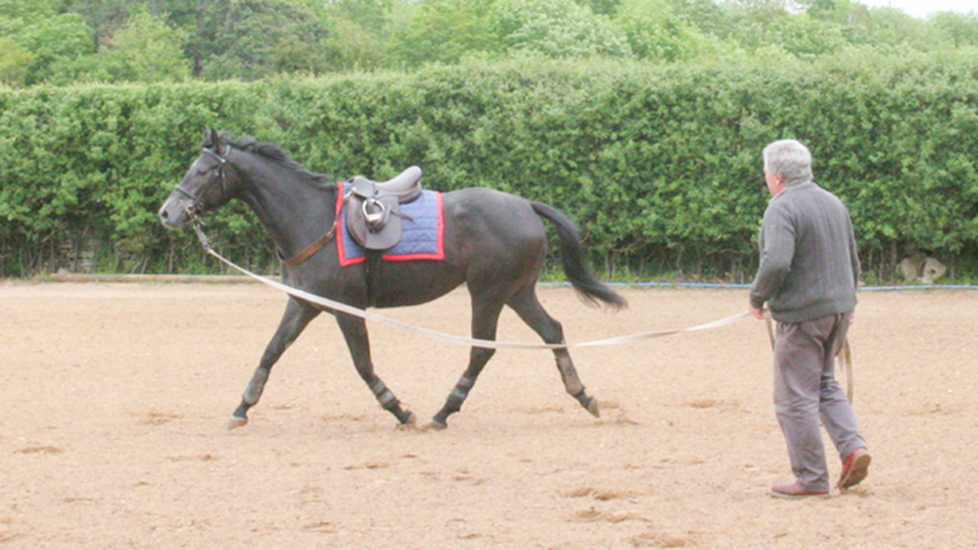 early-lunge.jpg