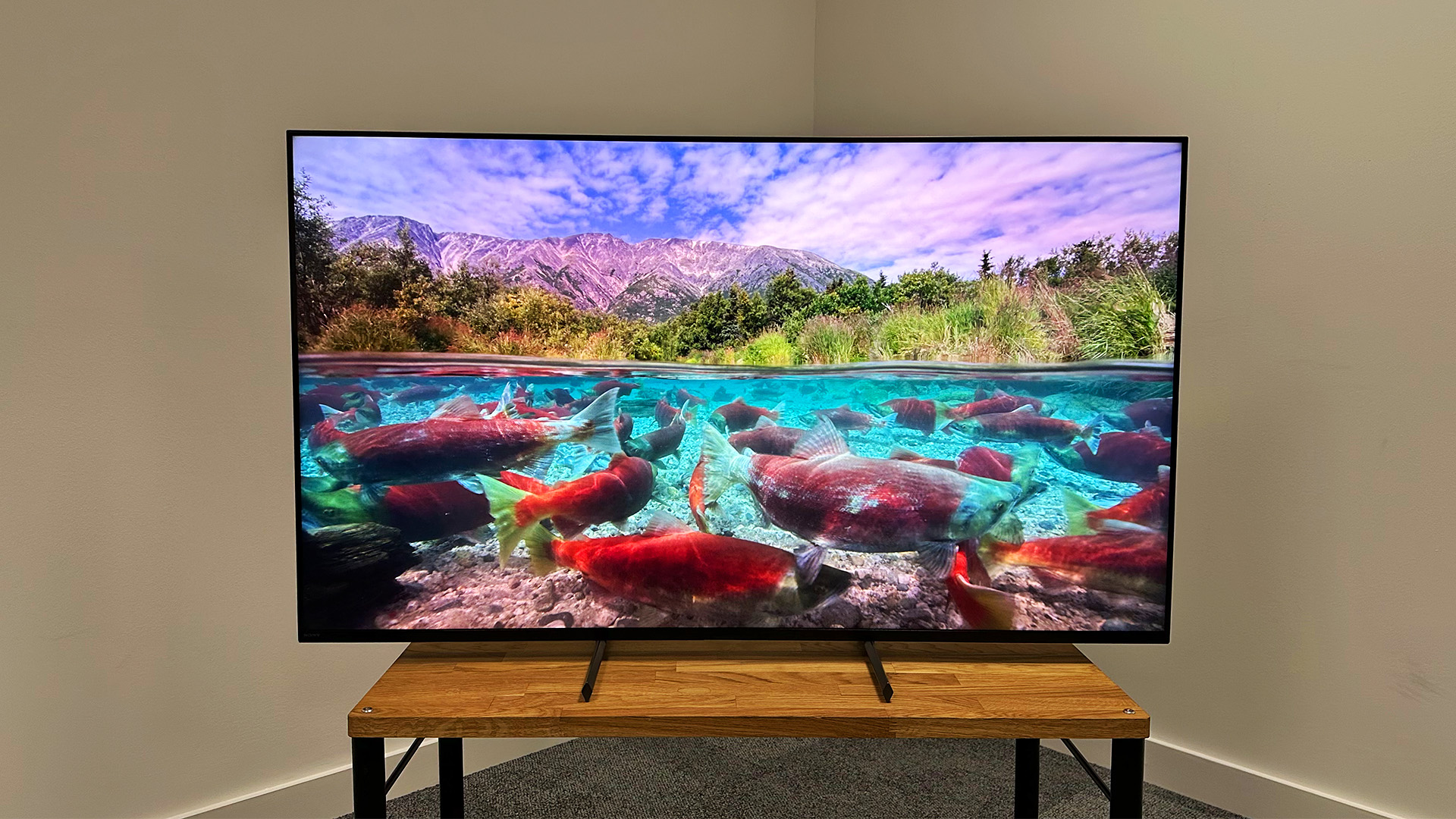 98 Sony X90L - Enormous LED TV 