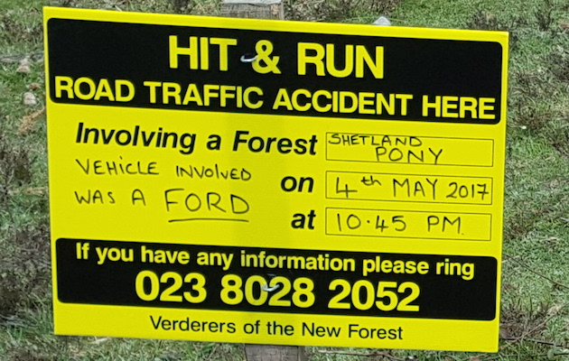 HitRun1.jpg