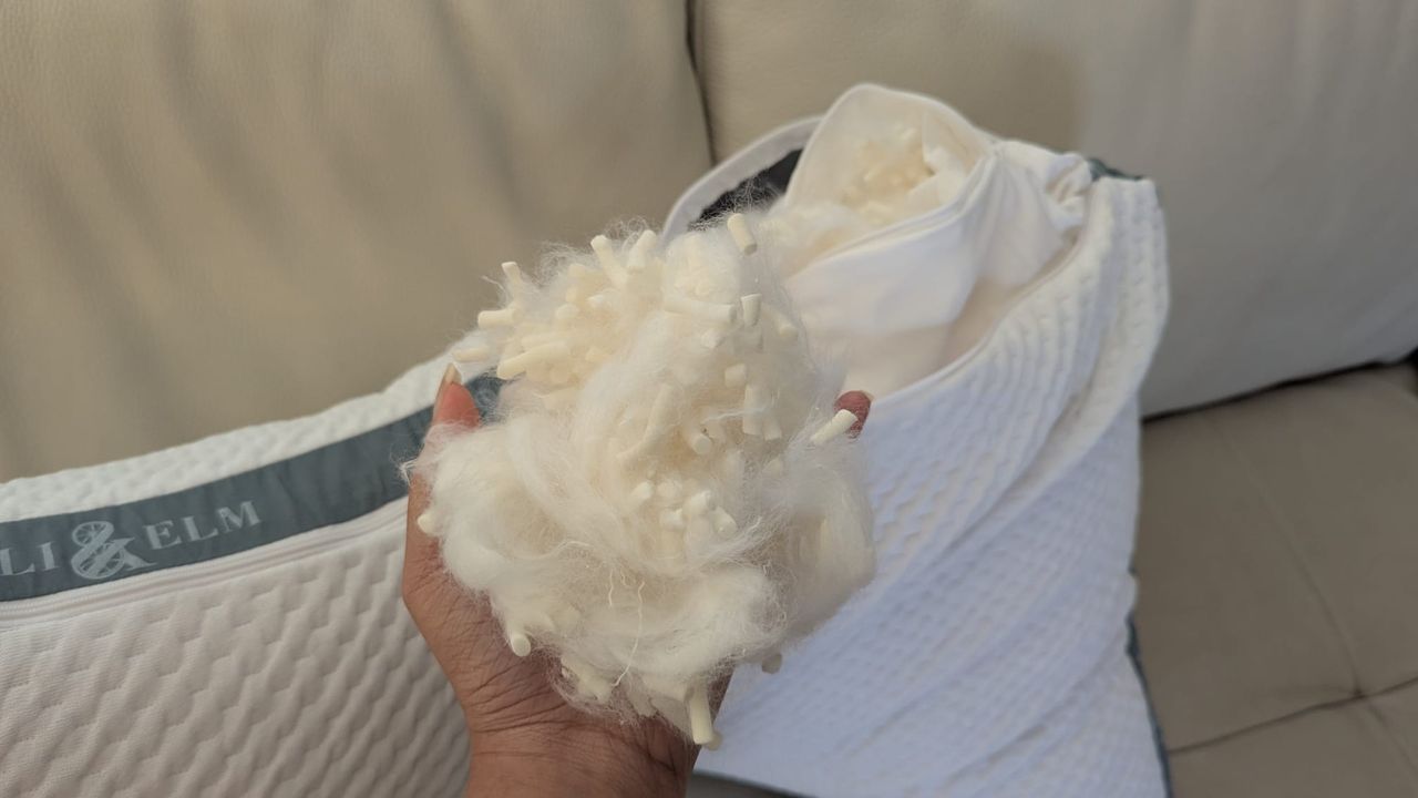 The memory foam and fiber fill held in hand