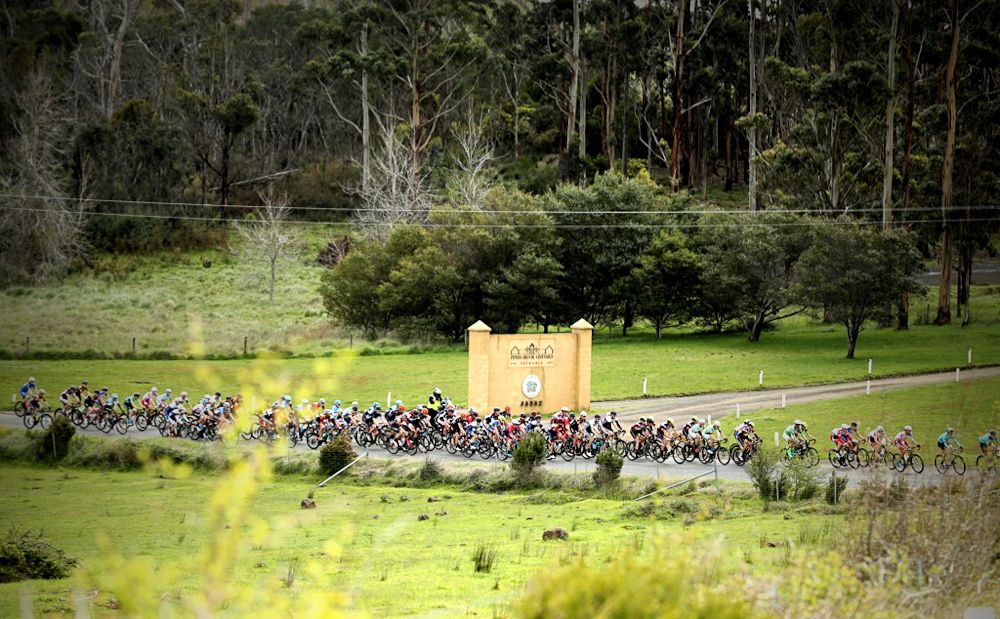 The peloton roll past some picturesque Tasmanian scenery