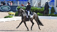 Dressage-GP_WEG18_PN18_115167_325384341_368702571.jpg