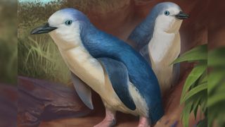 An artist's interpretation of two tiny penguins