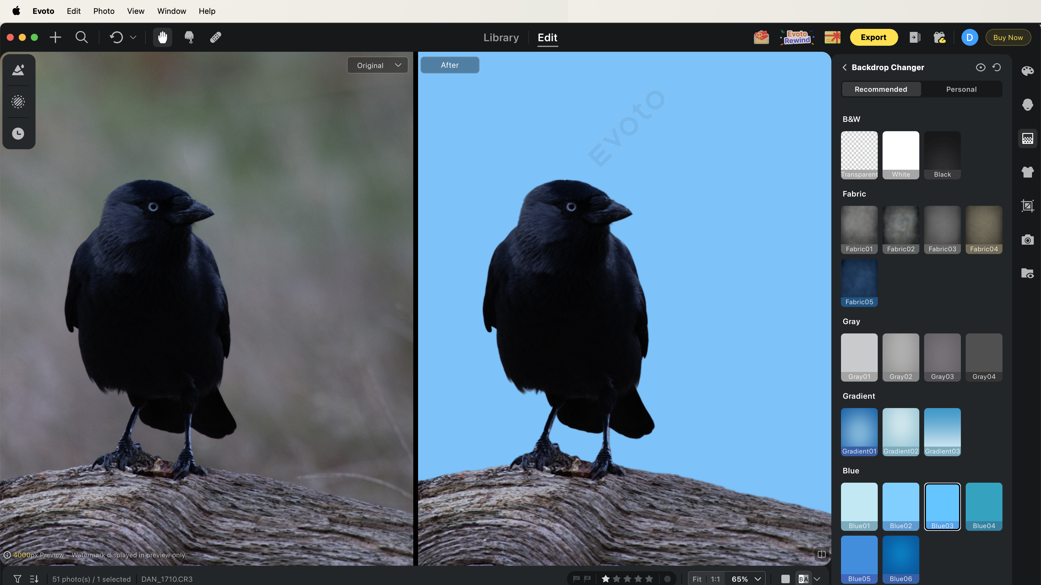 Evoto AI Desktop - the background of a crow has been easily selected and replaced with one of Evoto's presets, though Evoto's watermark can be seen all over the 'after' image