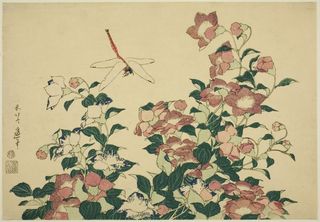 Leonardo is not known to have drawn a dragonfly in flight, but Hokusai did, showing that its two sets of wings have a different phase – a motion much too fast for most people to see.