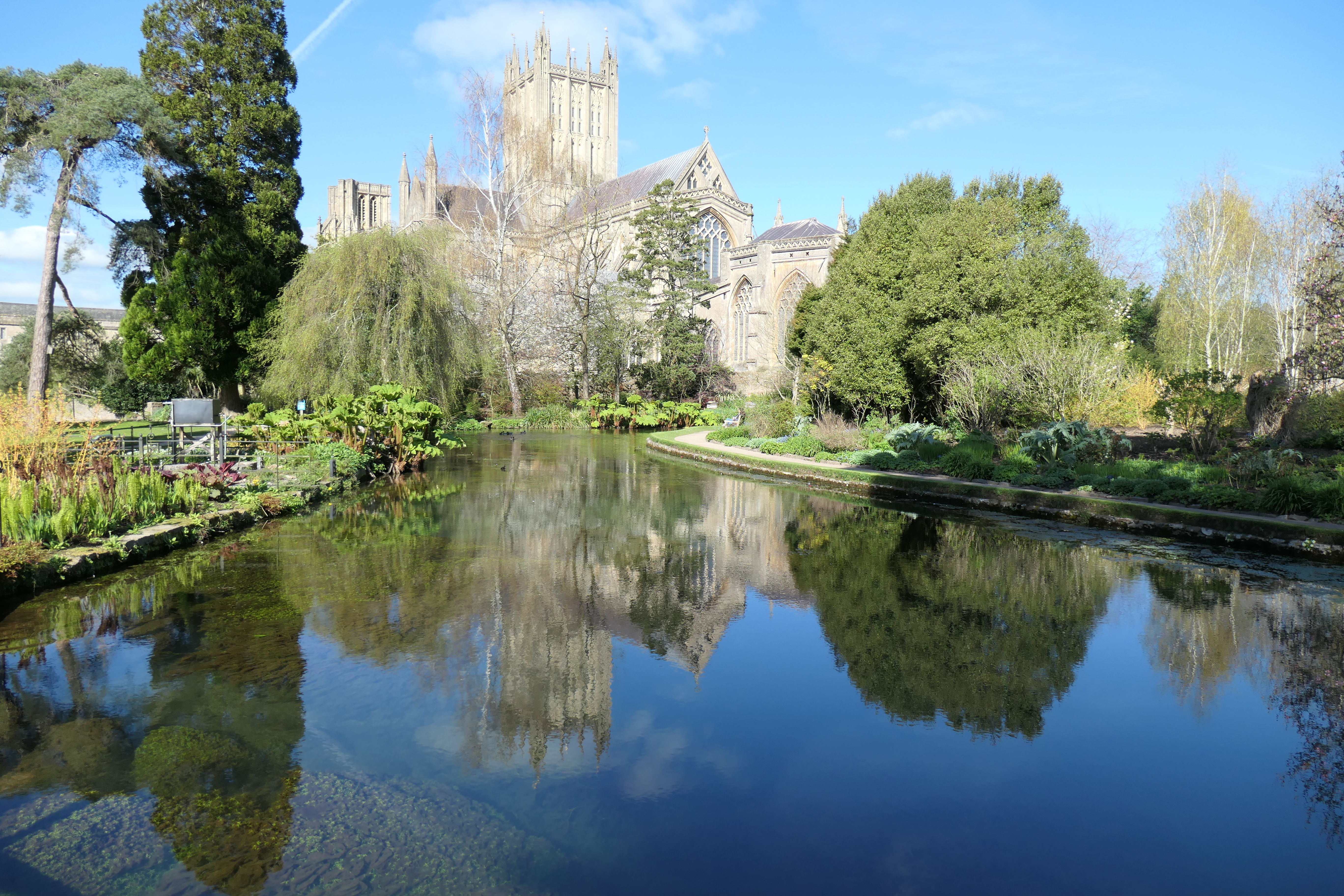 Panasonic Lumix ZS300 / TZ300 sample image