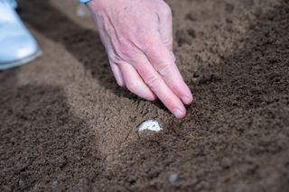 Identifying golf ball - recreating lie in sand