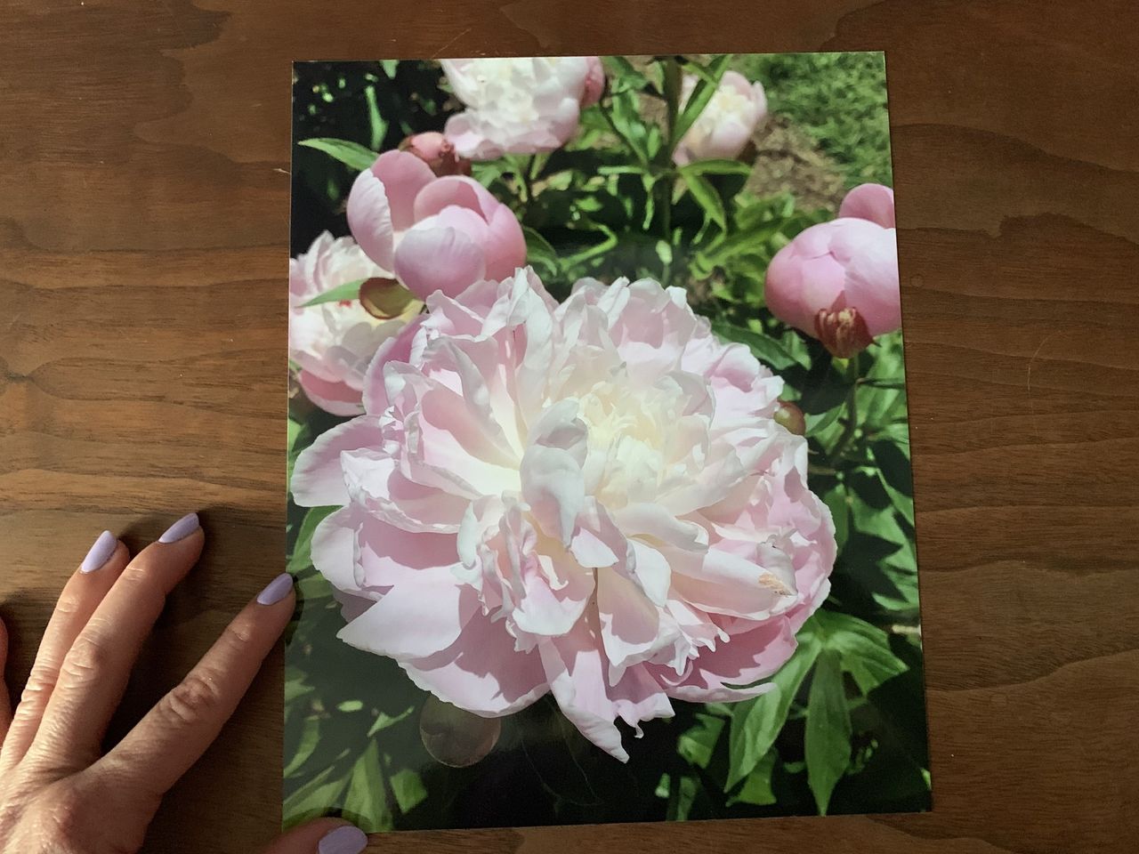 Snapfish photo printing