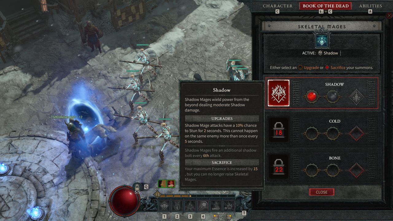 Necromancer class mechanic
