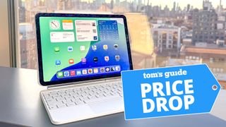 iPad Air with keyboard on window ledge