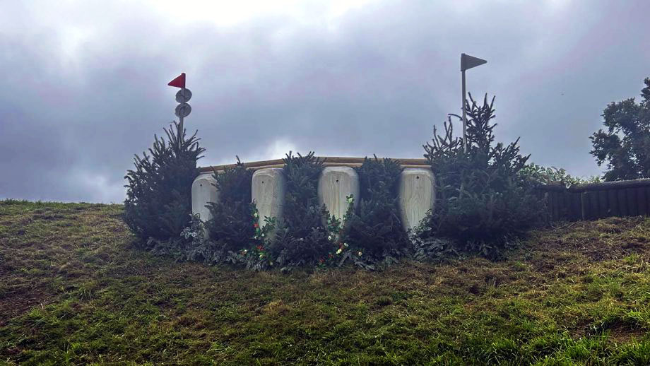 European Eventing Championships cross-country course