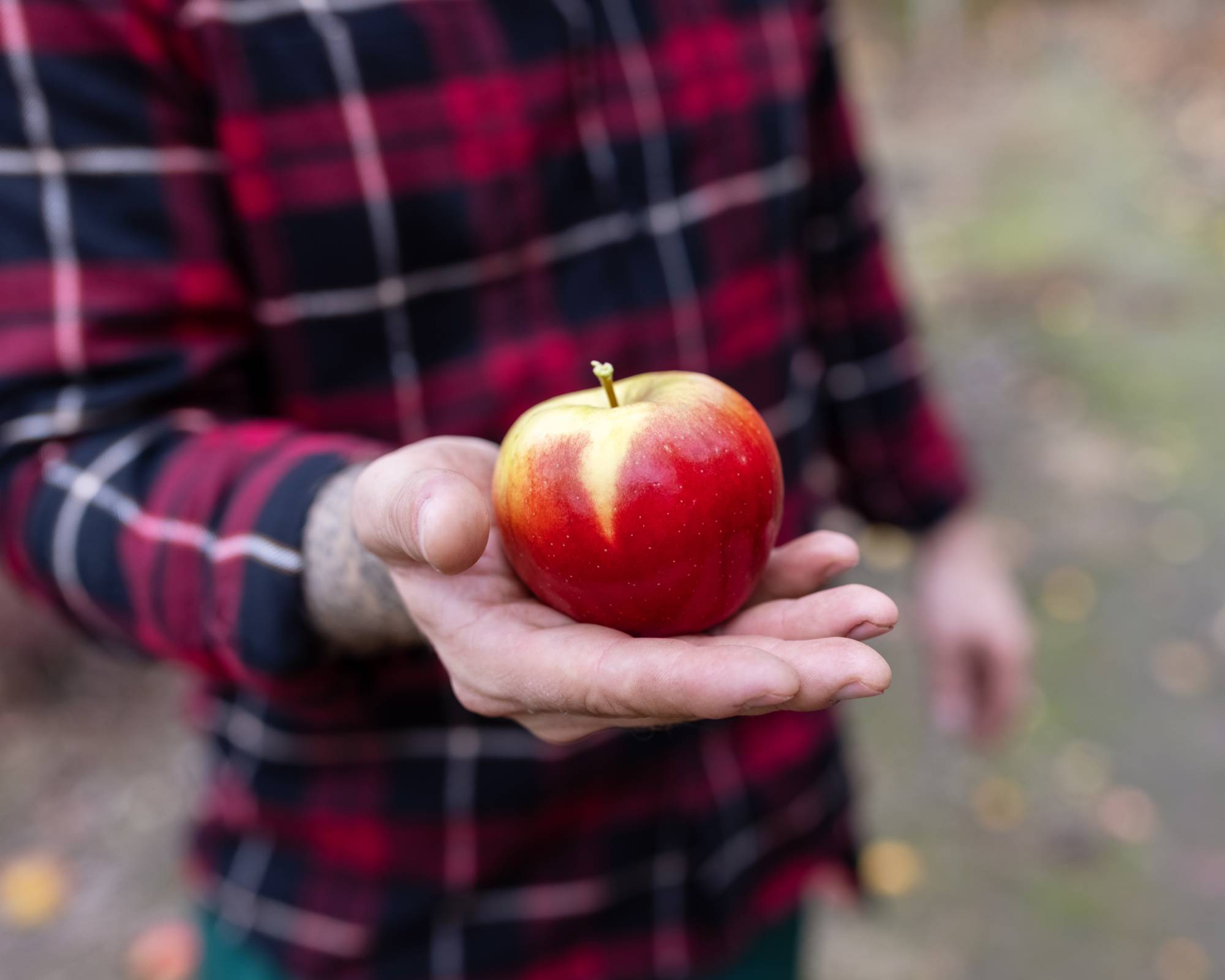 Man holding ripe apple with yellow background color on skin