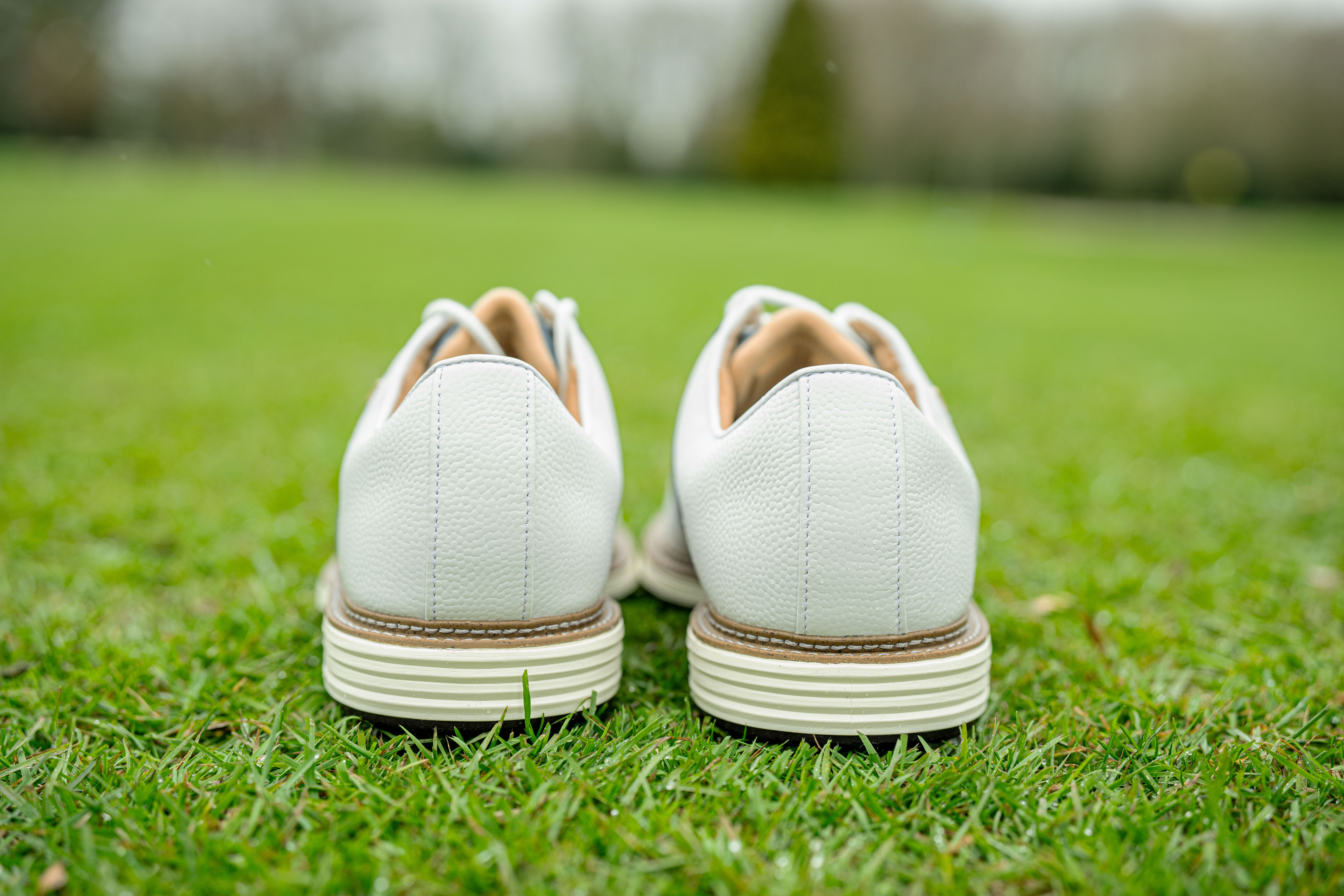 FootJoy Premiere Series Packard 2026 Golf Shoe Review