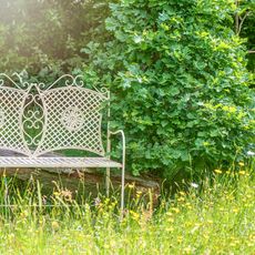 A bench in a garden