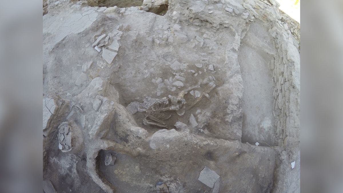 The skeleton of a man killed in a tsunami after the eruption of the Thera volcano is the first found in its archaeological context.