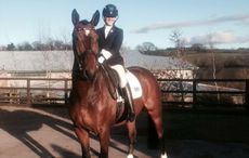 Abira-at-Hartpury2.jpg