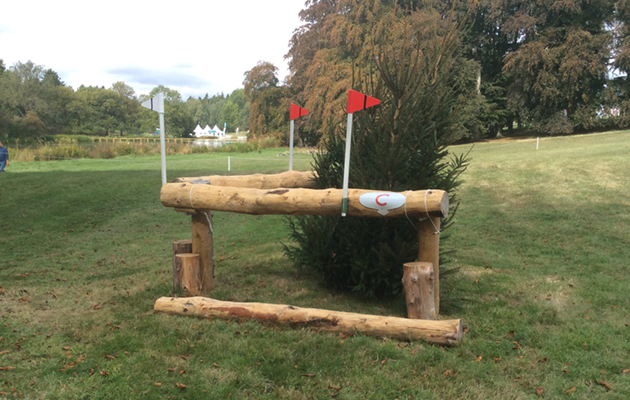 Blenheim Fences 2018
