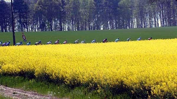 Picturesque scenery in the Belgian Ardennes.