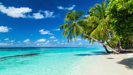 annual leave 509488176