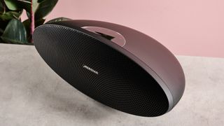 The Meridian Ellipse from above on a stone worktop in front of a pink background and a house plant.