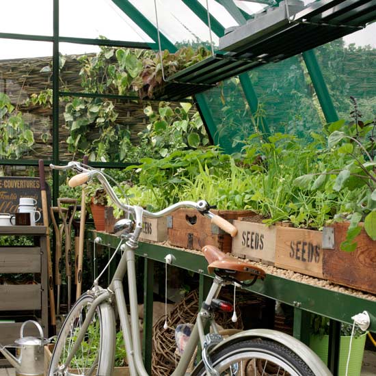 garden with wooden plant trays and bicycle