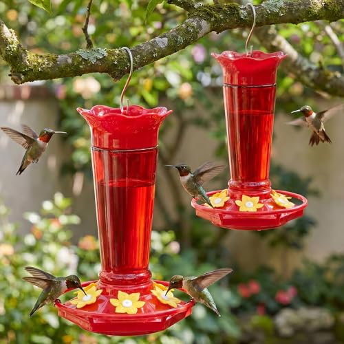 Gbekery 10 Oz Glass Hummingbird Feeders for Outdoors Hanging - Red 2 Pack, Ant &amp;amp; Bee Proof and 6 Feeding Ports, Garden Yard D&amp;eacute;cor Gifts for Mom